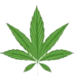 A stylized Medical-Use Cannabis leaf